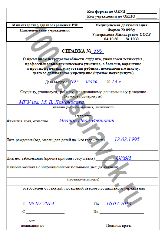 Сертификат о физическом воспитании в Университете и филиале МГУ имени М. В. Ломоносова