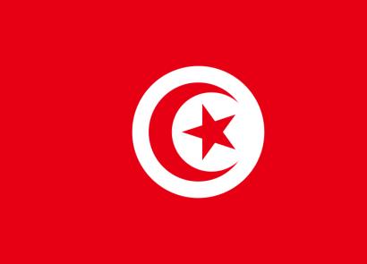 What is the validity period of a passport when traveling to Tunisia?