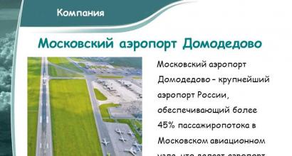 „Priliv“ vodi ka avijaciji: Aerodrom Domodedovo poziva studente