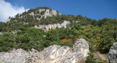 Нікітська ущелина - маршрут та опис