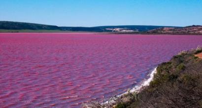 Розовое озеро хиллер Озеро хиллер в австралии
